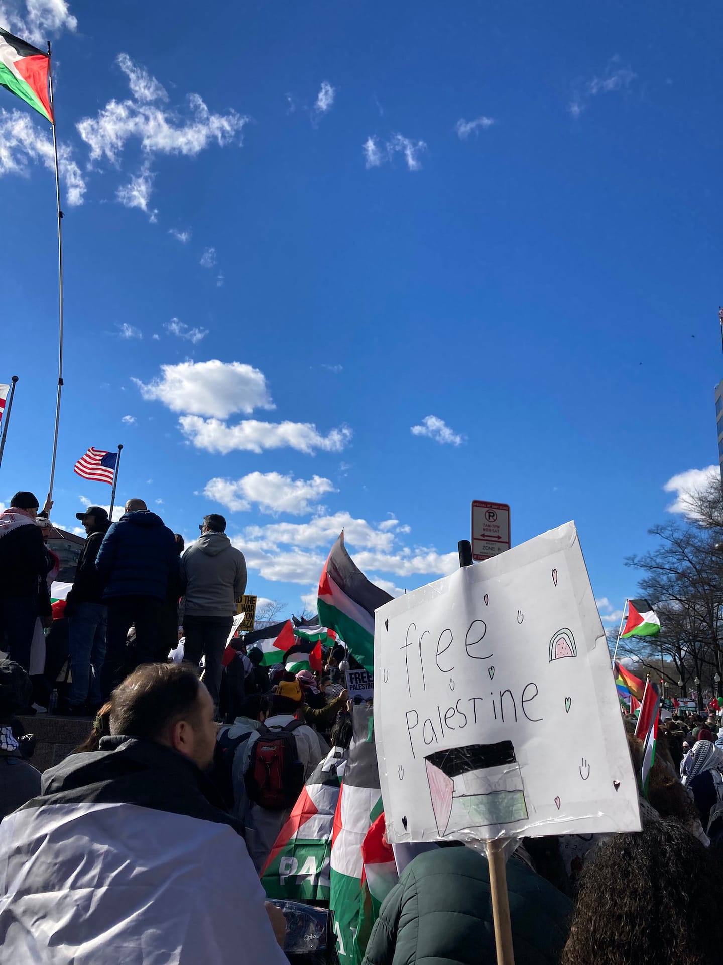 Mainstream News Fails To Cover March for Gaza in DC